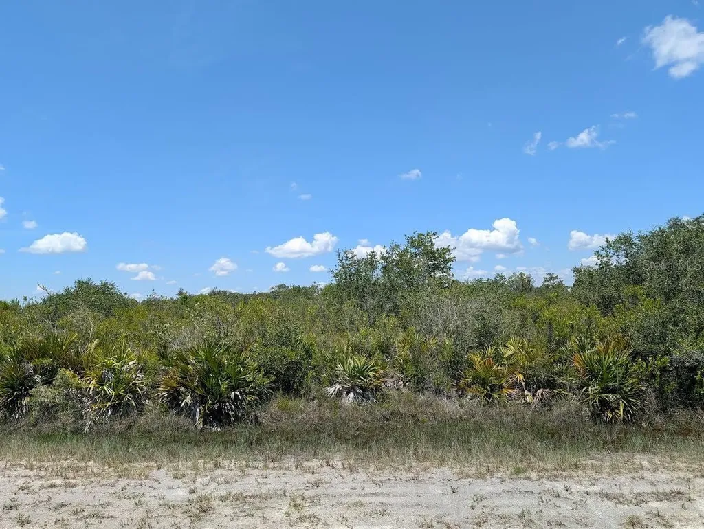 Sarasota Drive Indian Lake Estates FL 33855
