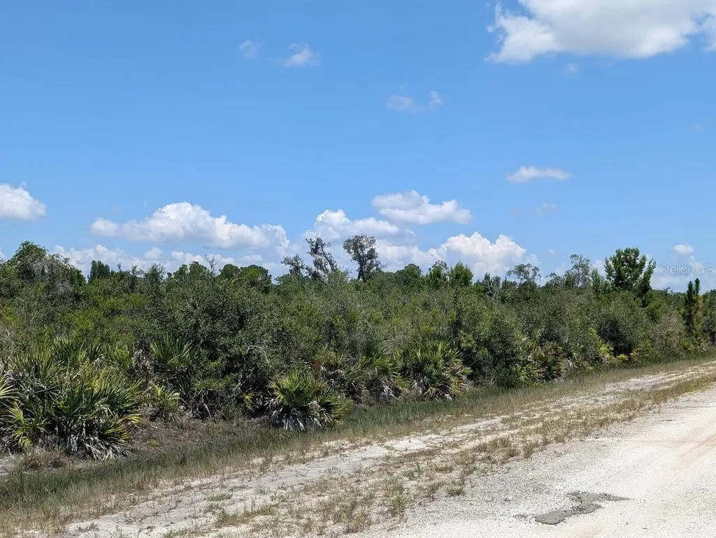 Sarasota Drive Indian Lake Estates FL 33855