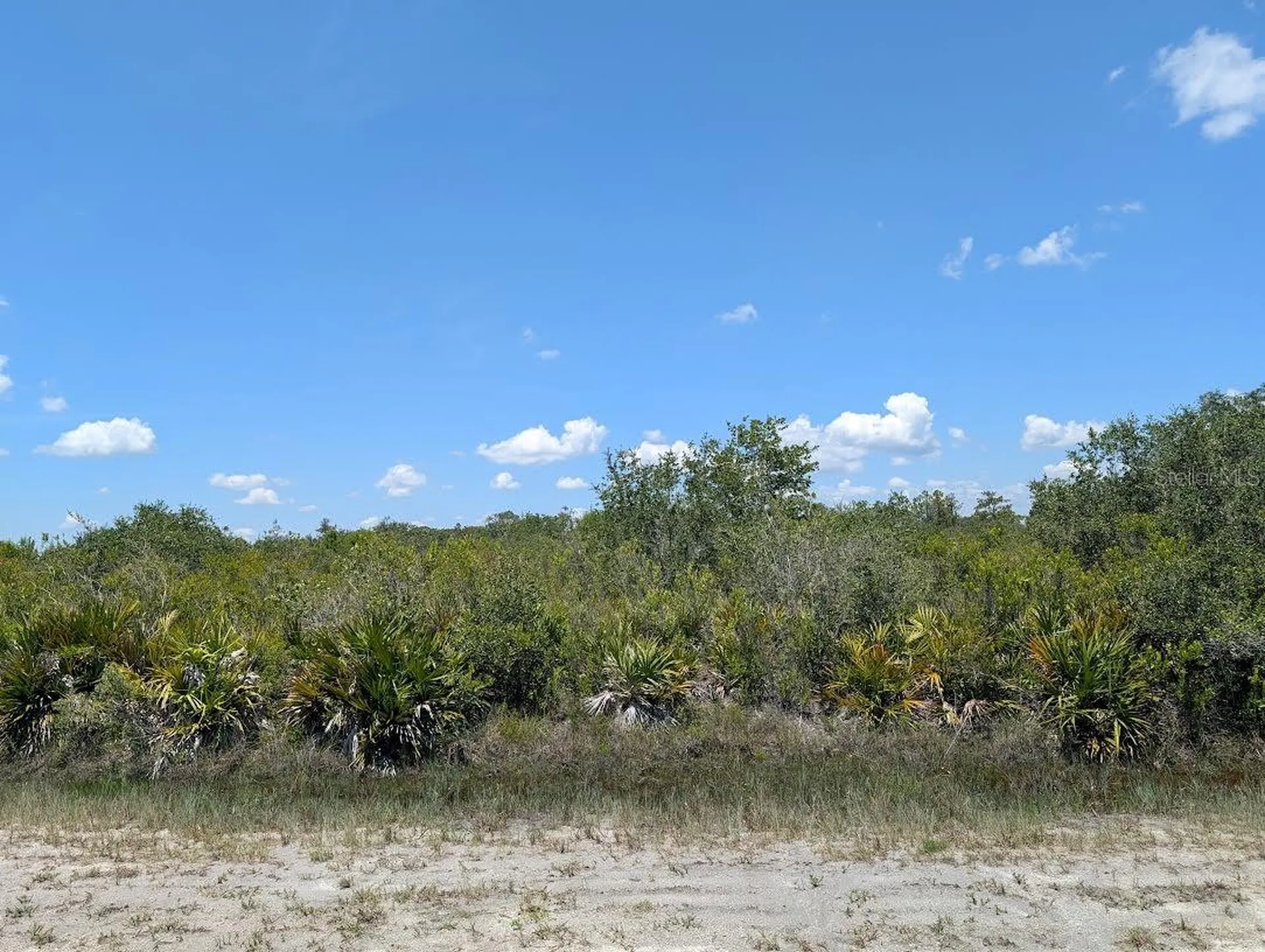 Sarasota Drive Indian Lake Estates FL 33855