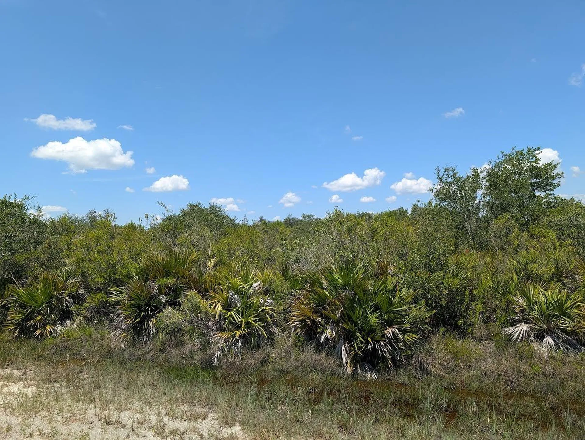 Sarasota Drive Indian Lake Estates FL 33855