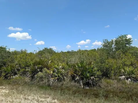 Sarasota Drive Indian Lake Estates FL 33855