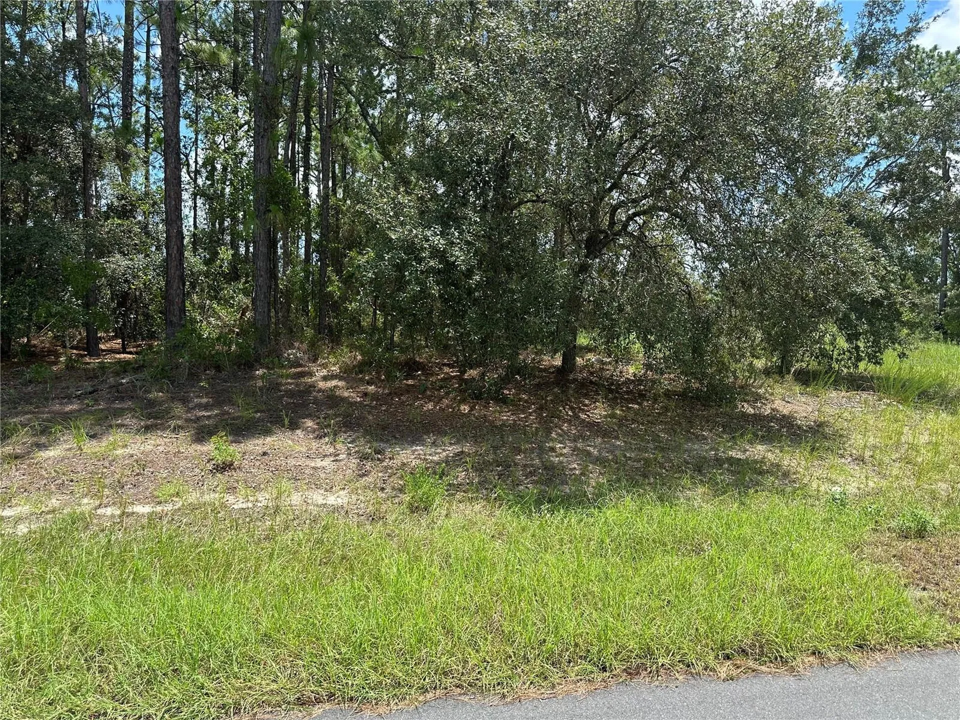Tbd SW 60th Terrace Ocala FL 34471