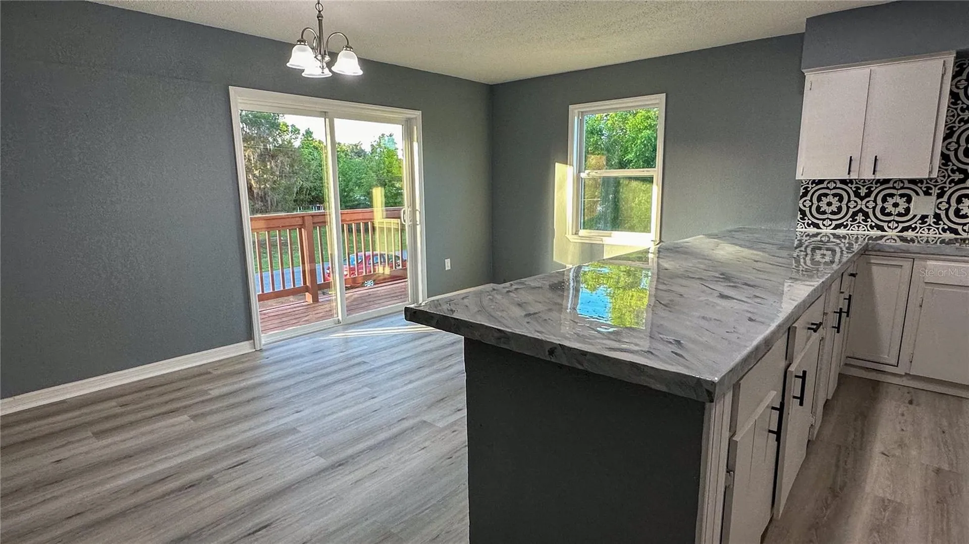 1118 Cr 440 Lake Panasoffkee FL 33538
