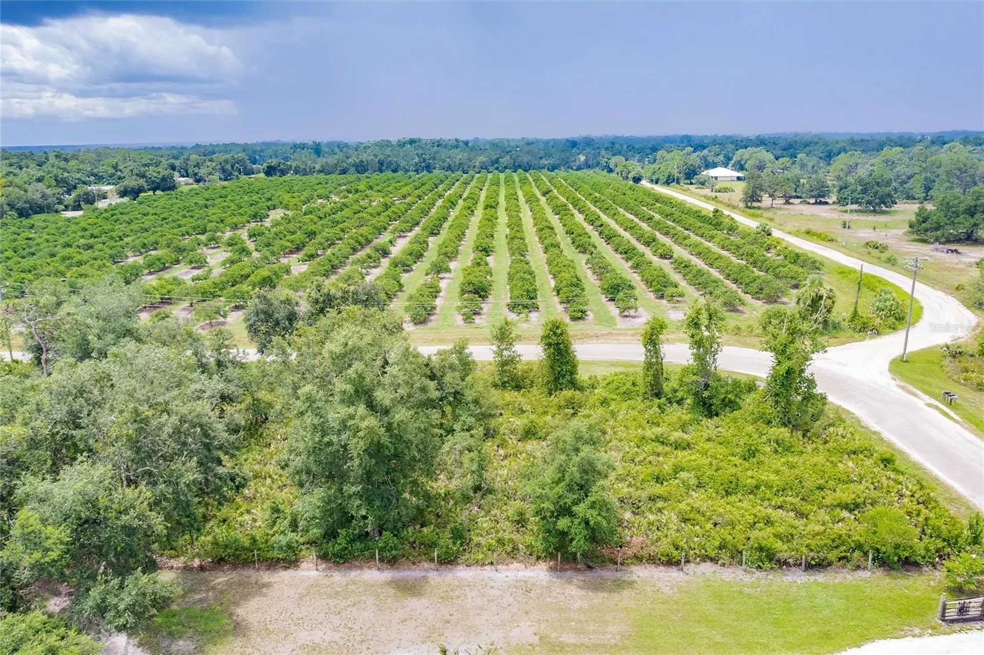 SW Gator Trail Arcadia FL 34266