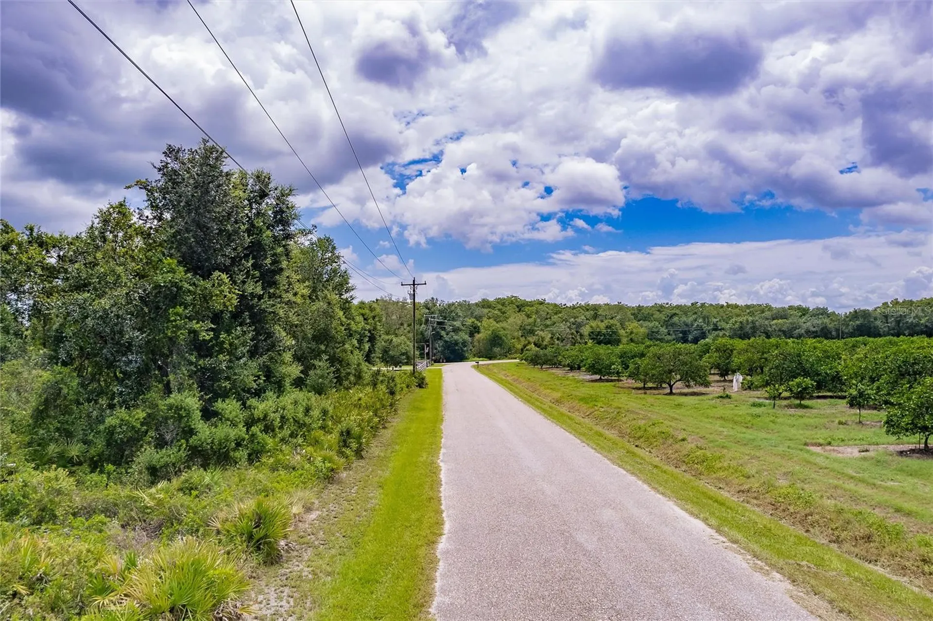 SW Gator Trail Arcadia FL 34266