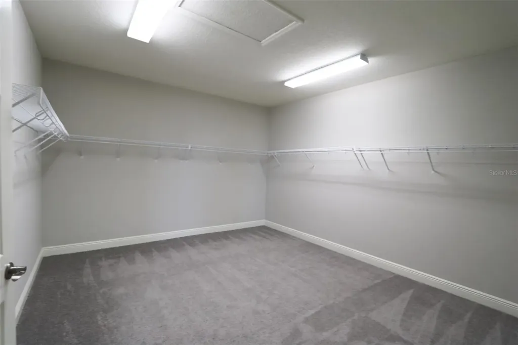 11978 Climbing Fern Avenue Riverview FL 33579