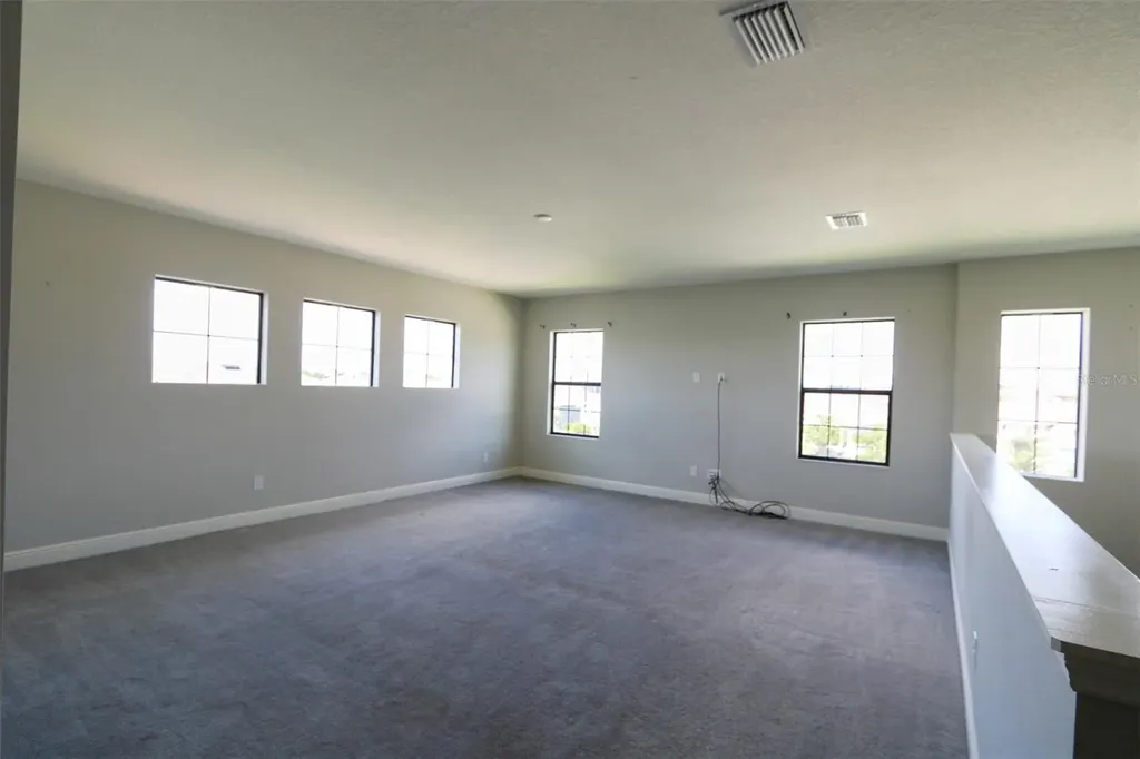 11978 Climbing Fern Avenue Riverview FL 33579
