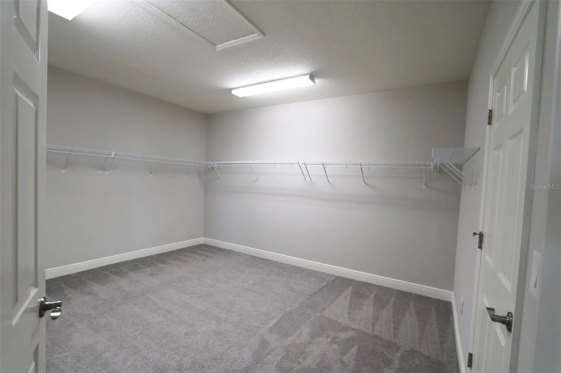 11978 Climbing Fern Avenue Riverview FL 33579