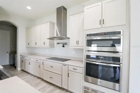11978 Climbing Fern Avenue Riverview FL 33579