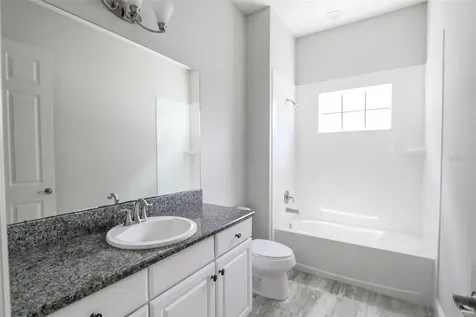 11978 Climbing Fern Avenue Riverview FL 33579