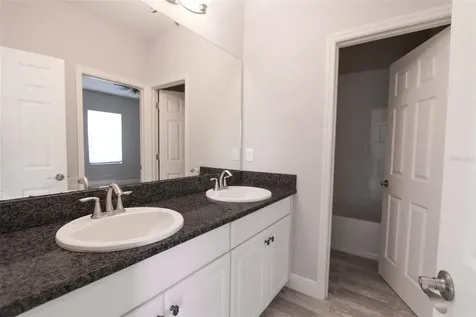 11978 Climbing Fern Avenue Riverview FL 33579