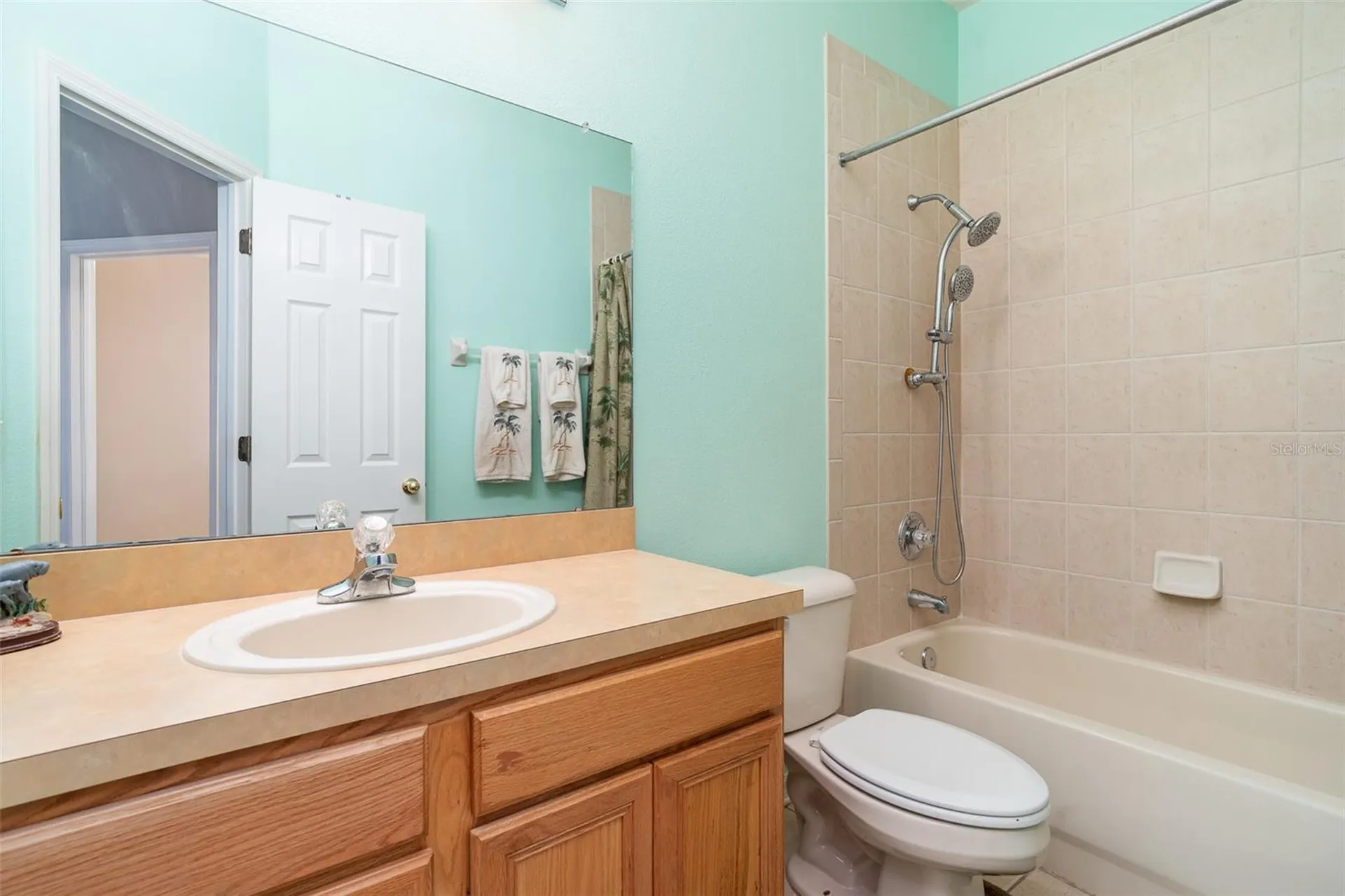 10903 Wildcat Drive Riverview FL 33579
