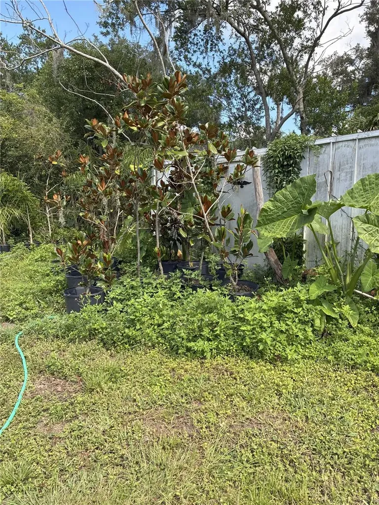 3016 Bloomingdale Avenue Valrico FL 33596