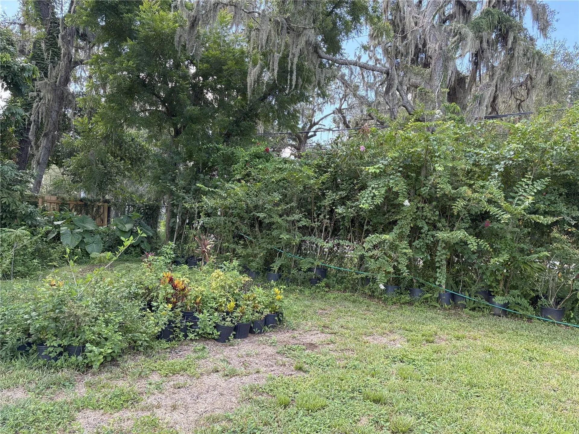 3016 Bloomingdale Avenue Valrico FL 33596