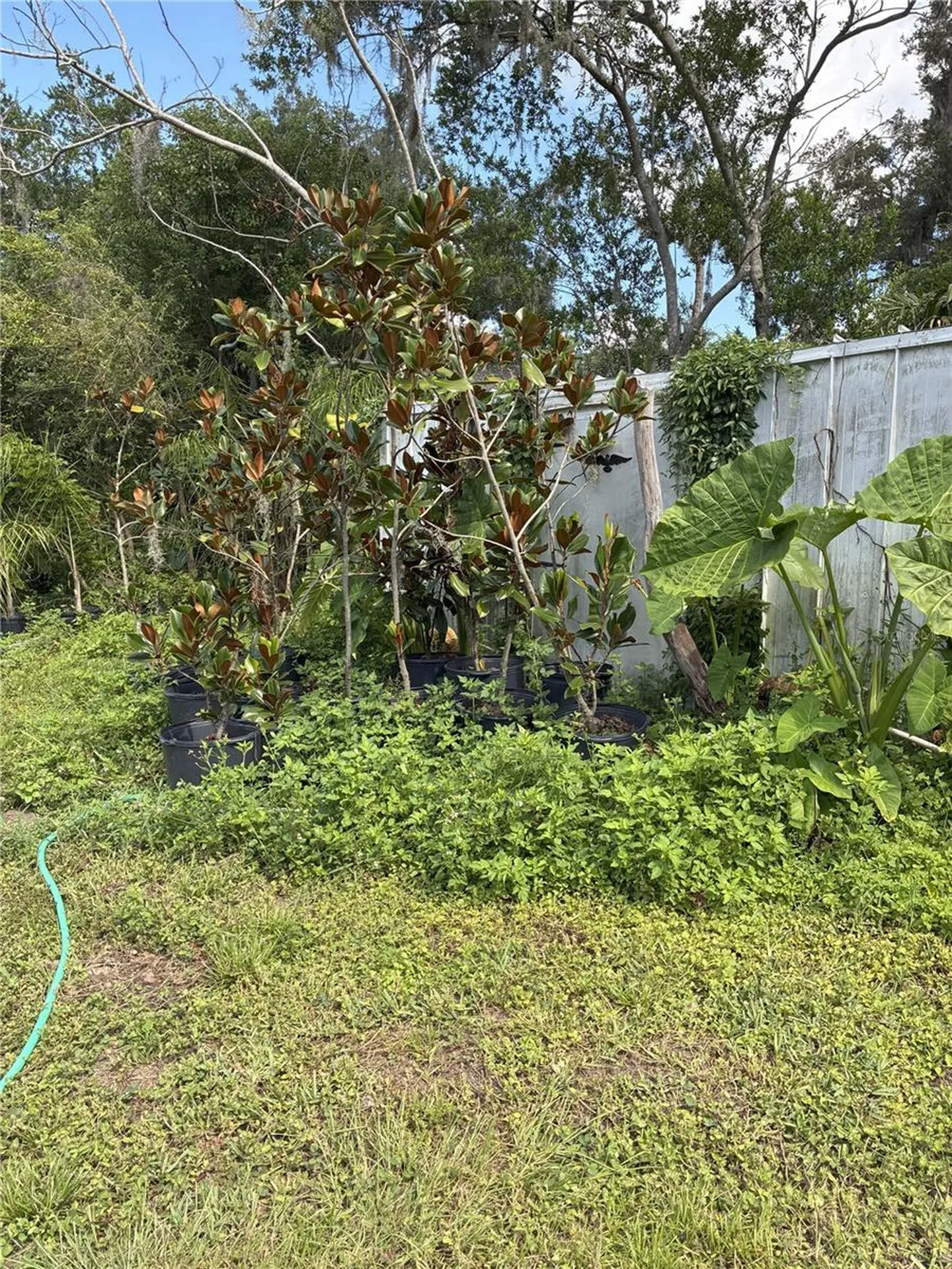 3016 Bloomingdale Avenue Valrico FL 33596
