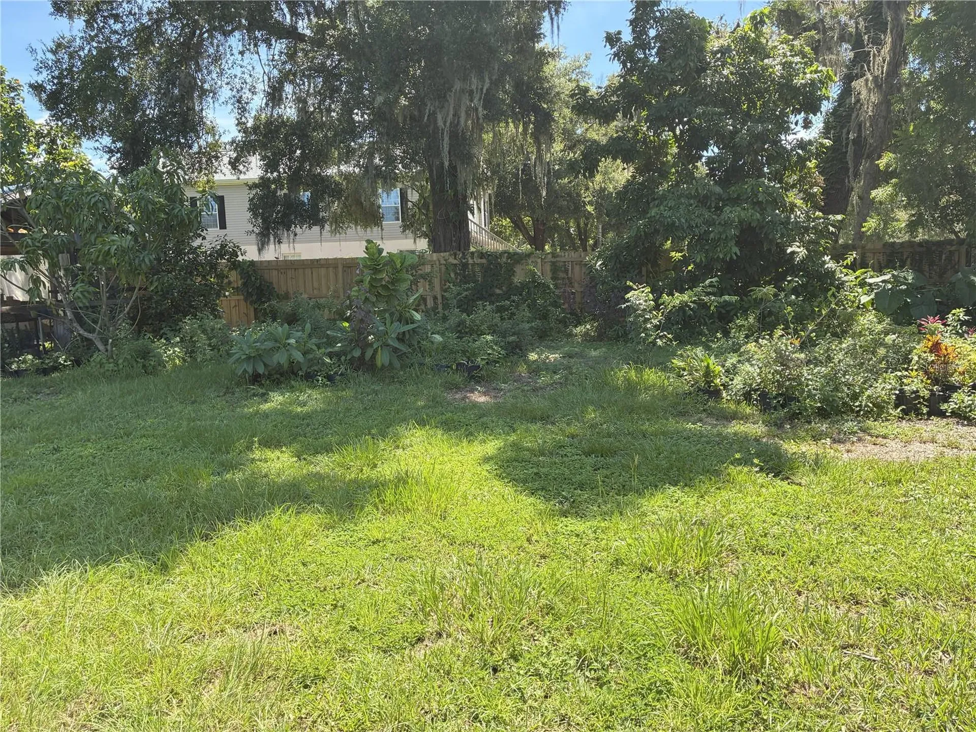 3016 Bloomingdale Avenue Valrico FL 33596