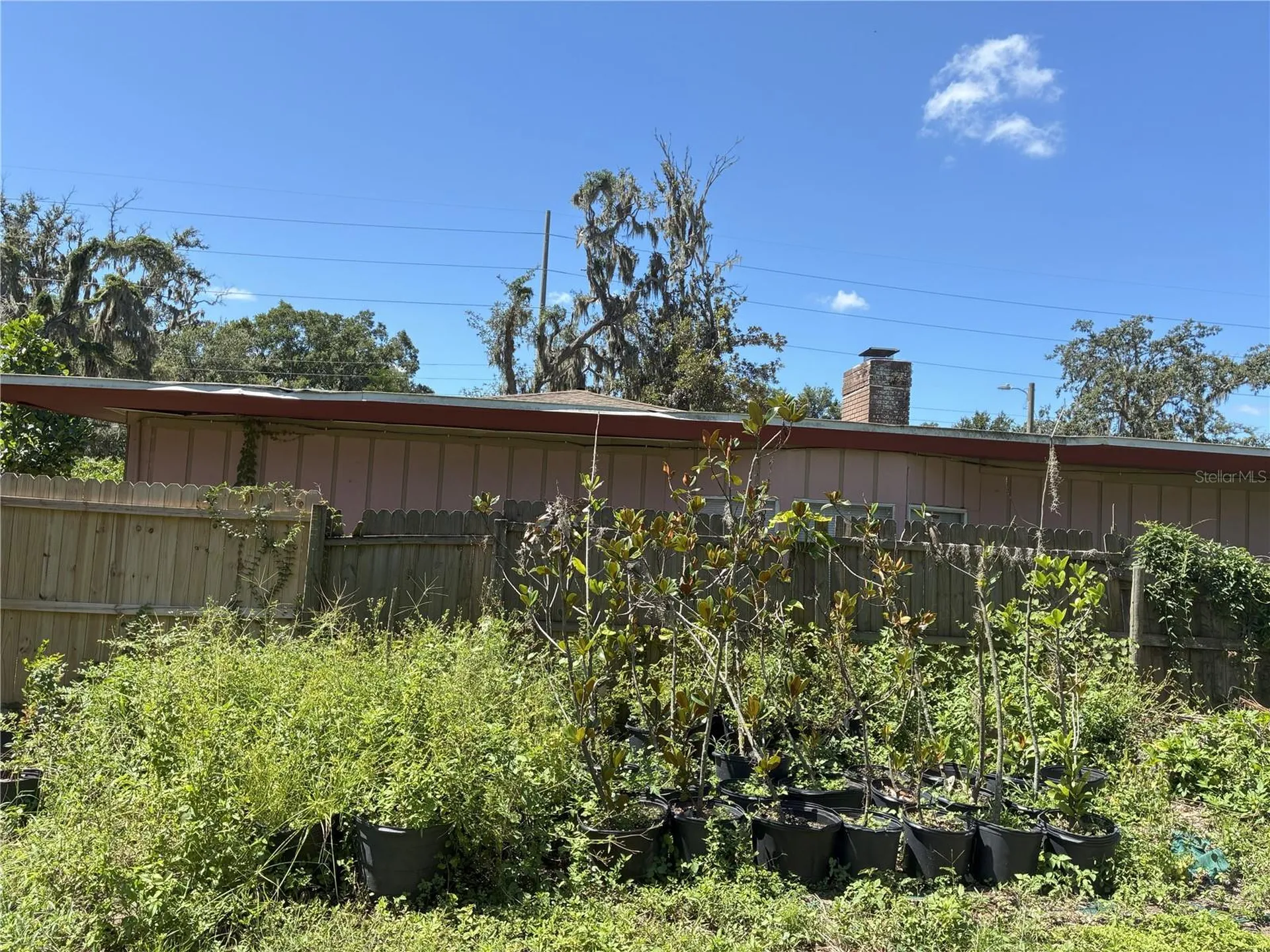 3016 Bloomingdale Avenue Valrico FL 33596