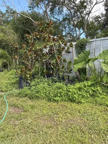 3016 Bloomingdale Avenue Valrico FL 33596