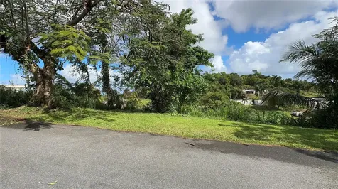 Km 4.5 Sr 962 Bo. Cambalache Canovanas PR 00729