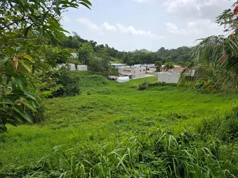 Km 4.5 Sr 962 Bo. Cambalache Canovanas PR 00729