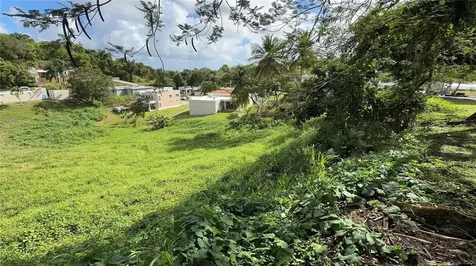 Km 4.5 Sr 962 Bo. Cambalache Canovanas PR 00729