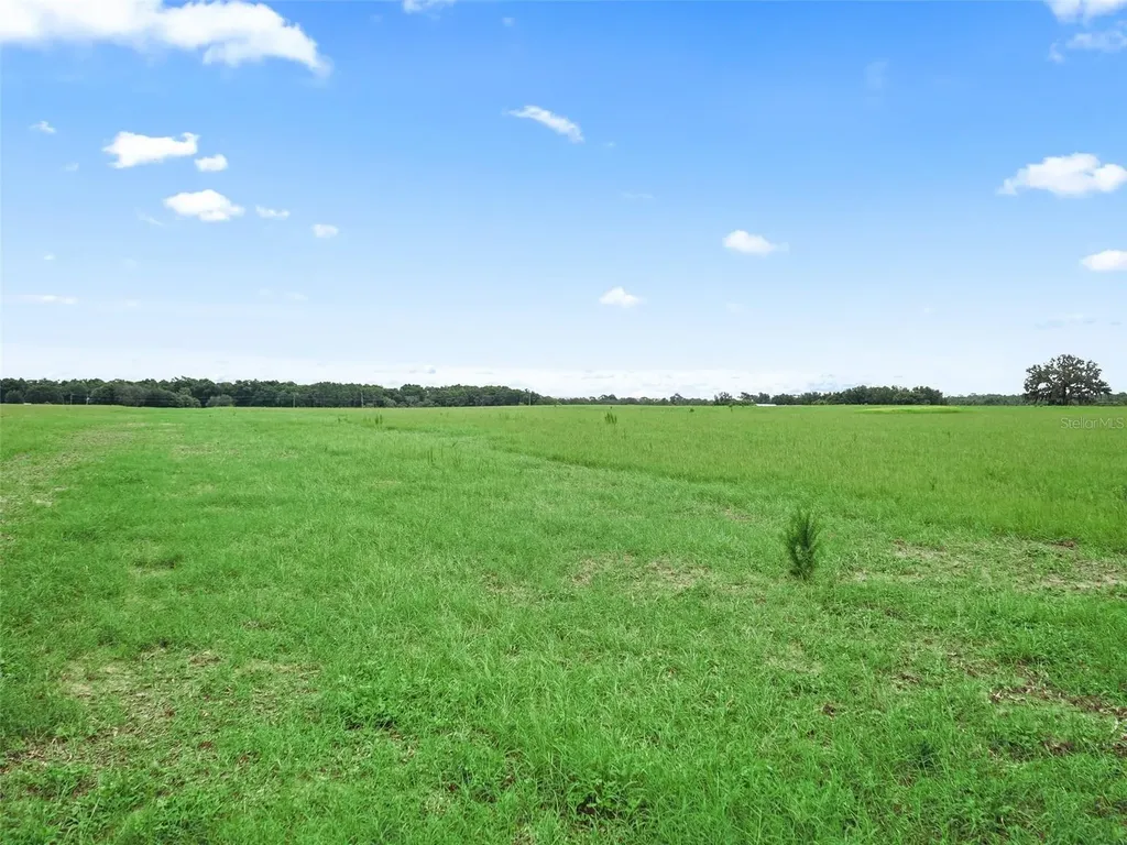 8567 Cr 635 Bushnell FL 33513