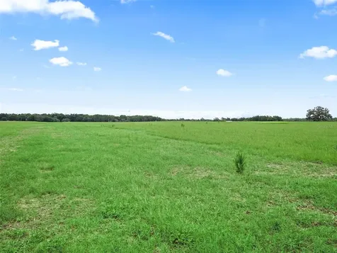 8567 Cr 635 Bushnell FL 33513