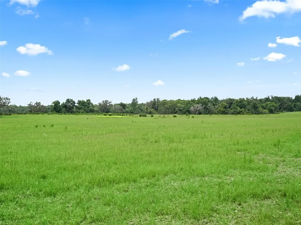 8567 Cr 635 Bushnell FL 33513