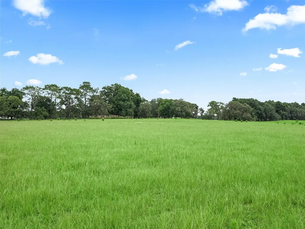 8567 Cr 635 Bushnell FL 33513
