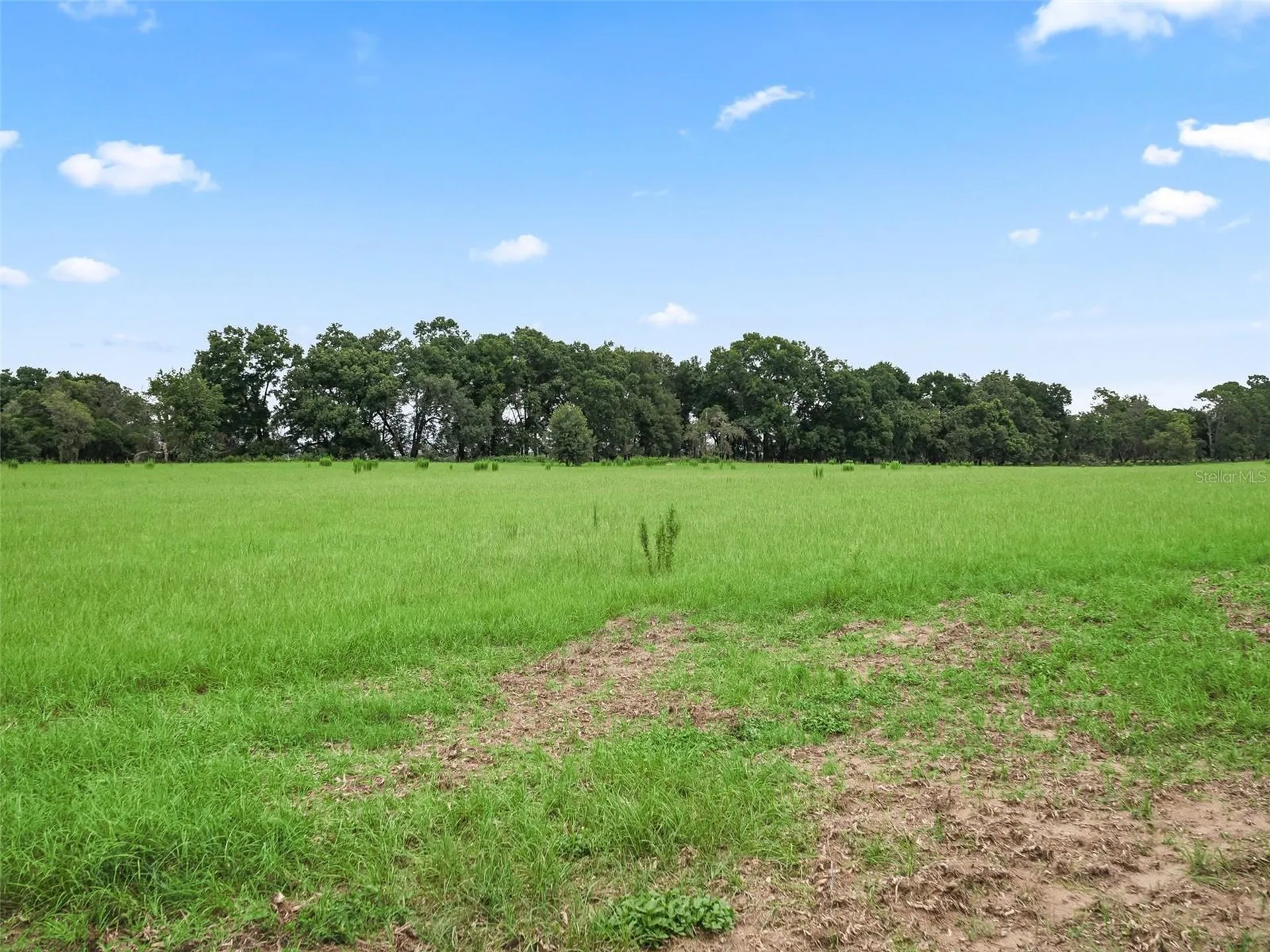 8567 Cr 635 Bushnell FL 33513