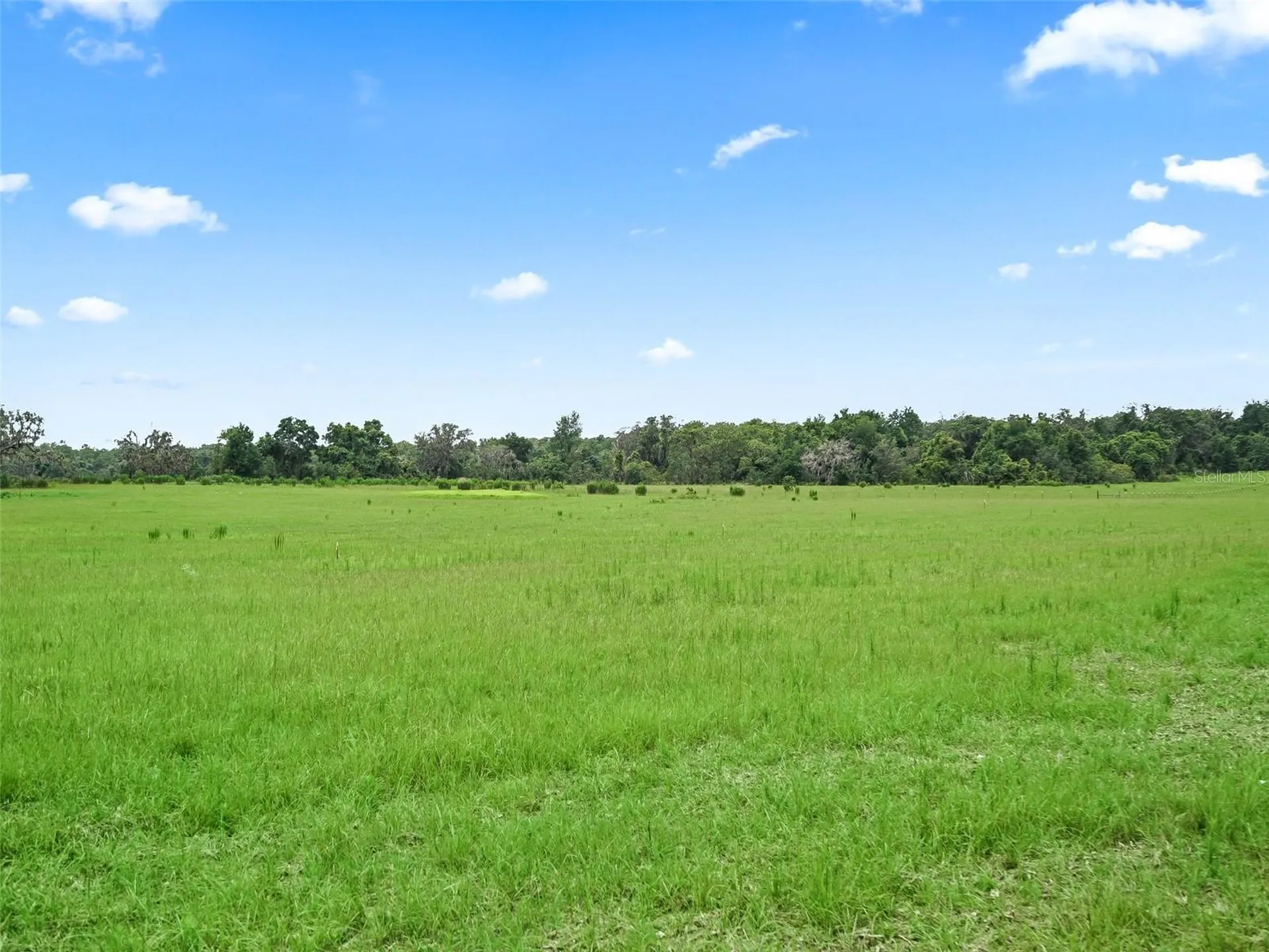 8567 Cr 635 Bushnell FL 33513