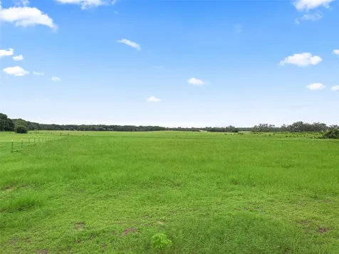 8567 Cr 635 Bushnell FL 33513