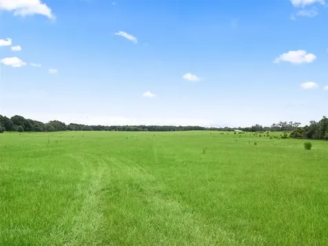 8567 Cr 635 Bushnell FL 33513
