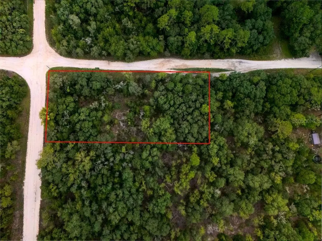 00 NE 110 Avenue Bronson FL 32621