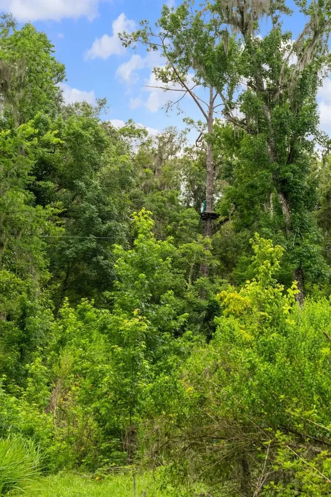 6440 Cedar Lane Brooksville FL 34601