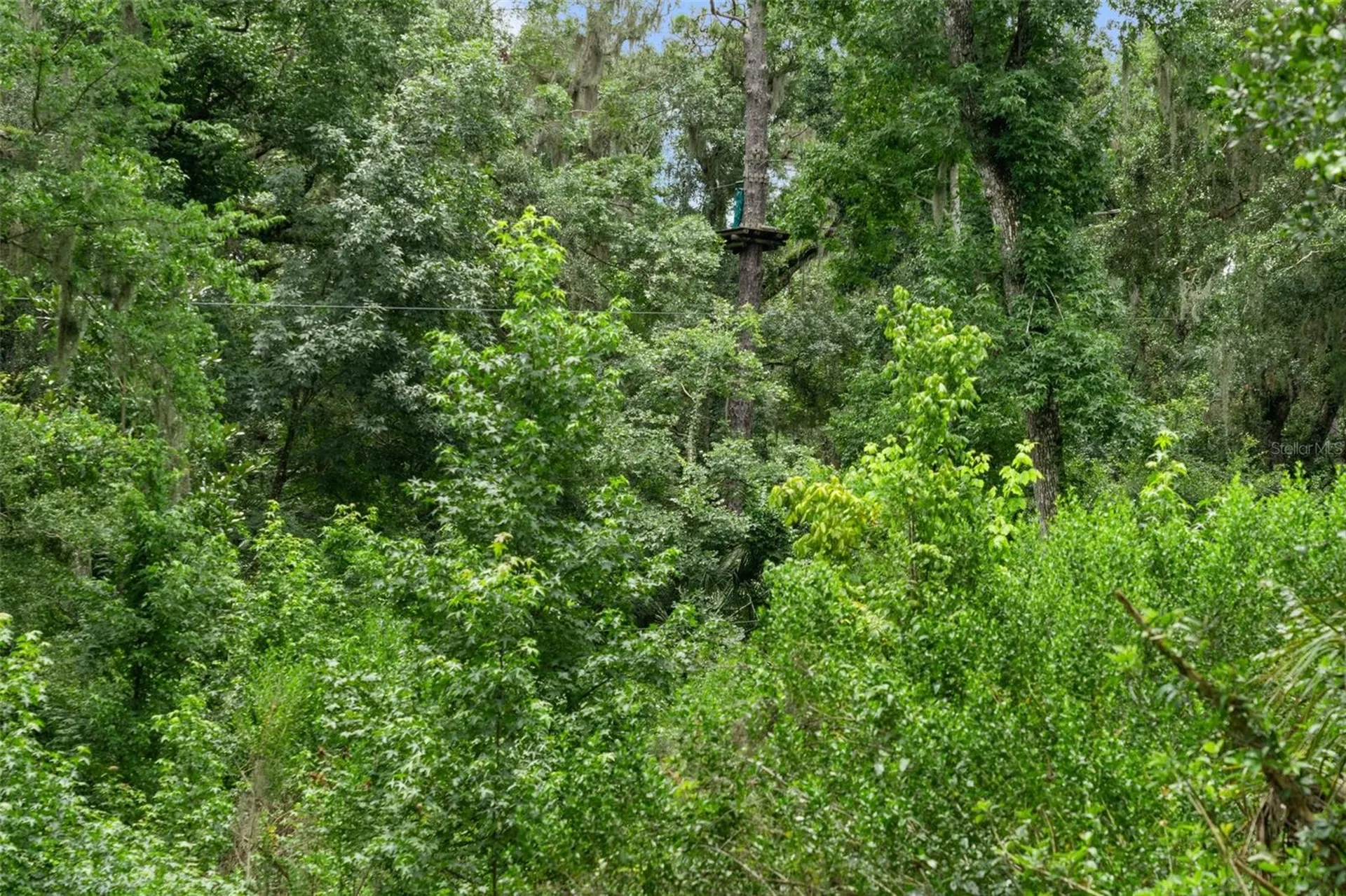 6440 Cedar Lane Brooksville FL 34601