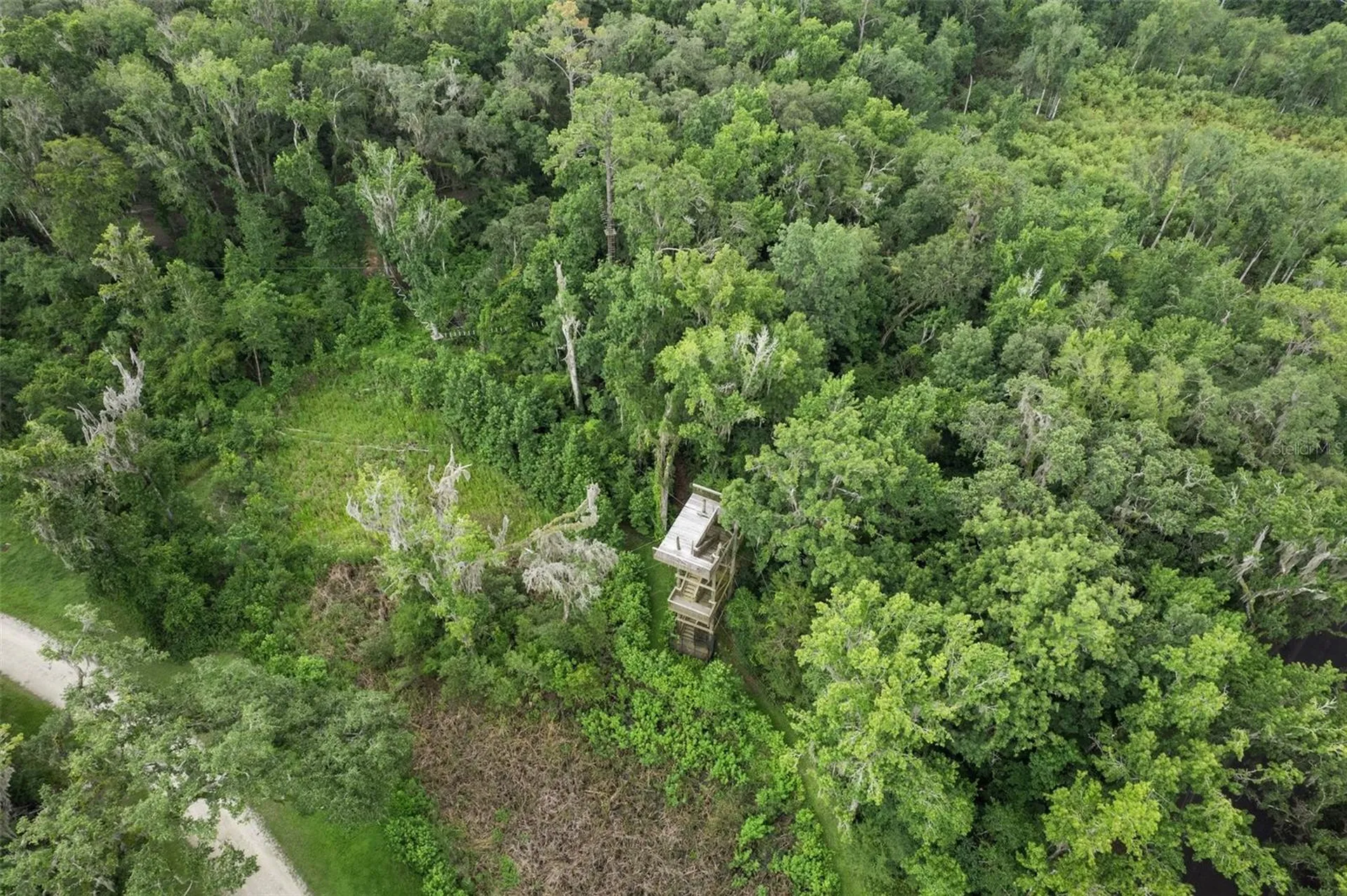 6440 Cedar Lane Brooksville FL 34601