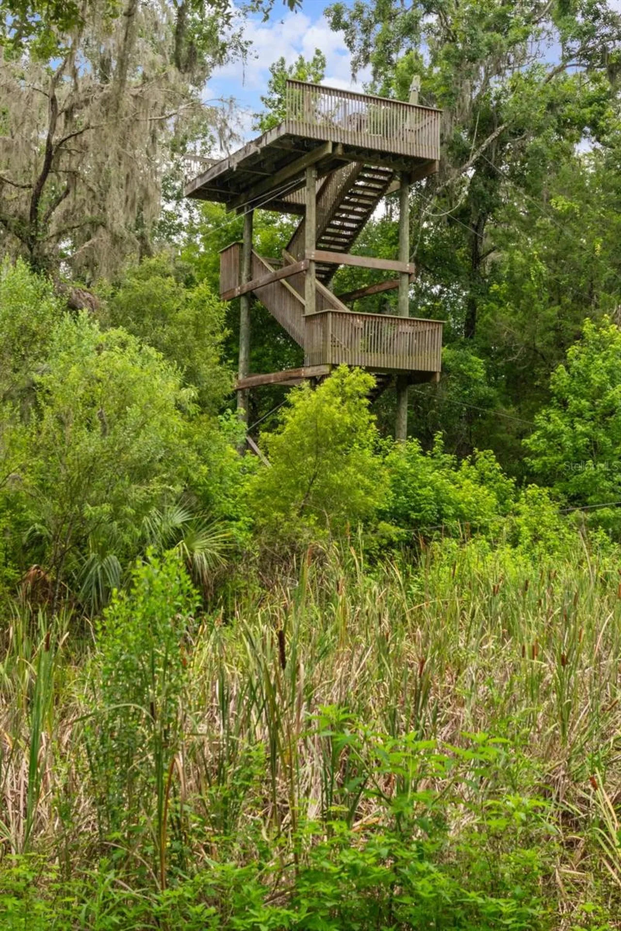 6440 Cedar Lane Brooksville FL 34601