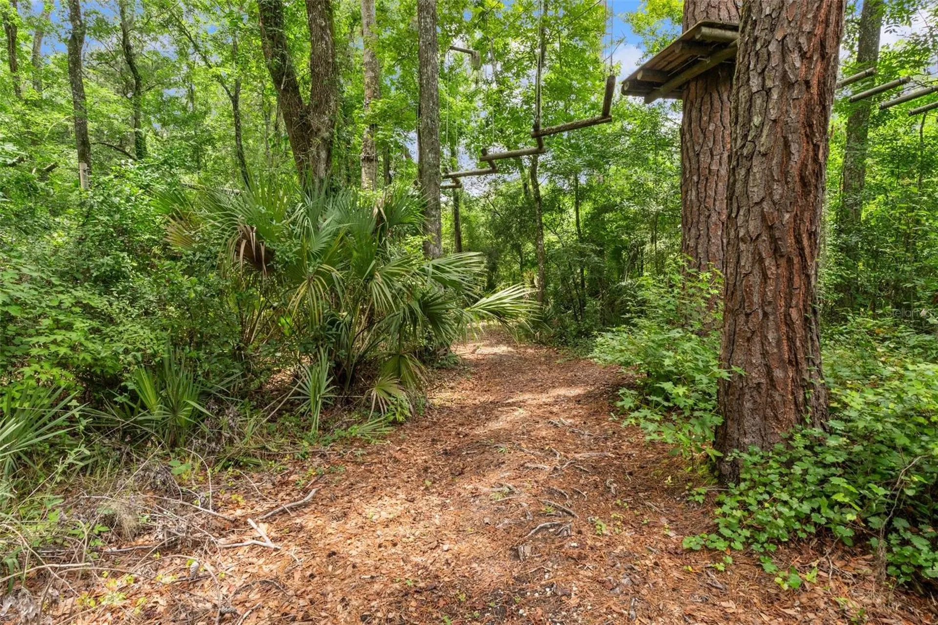 6440 Cedar Lane Brooksville FL 34601