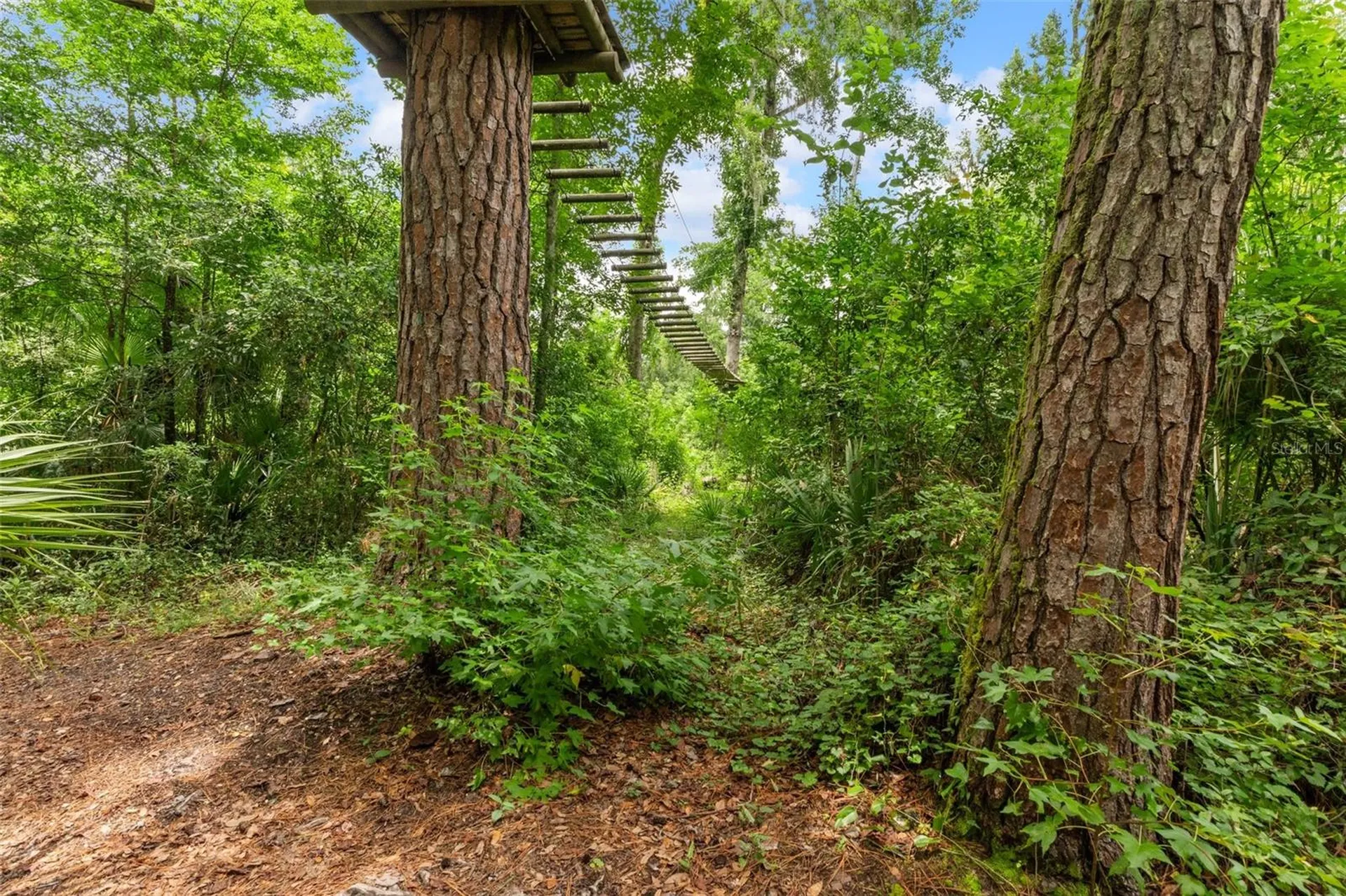 6440 Cedar Lane Brooksville FL 34601