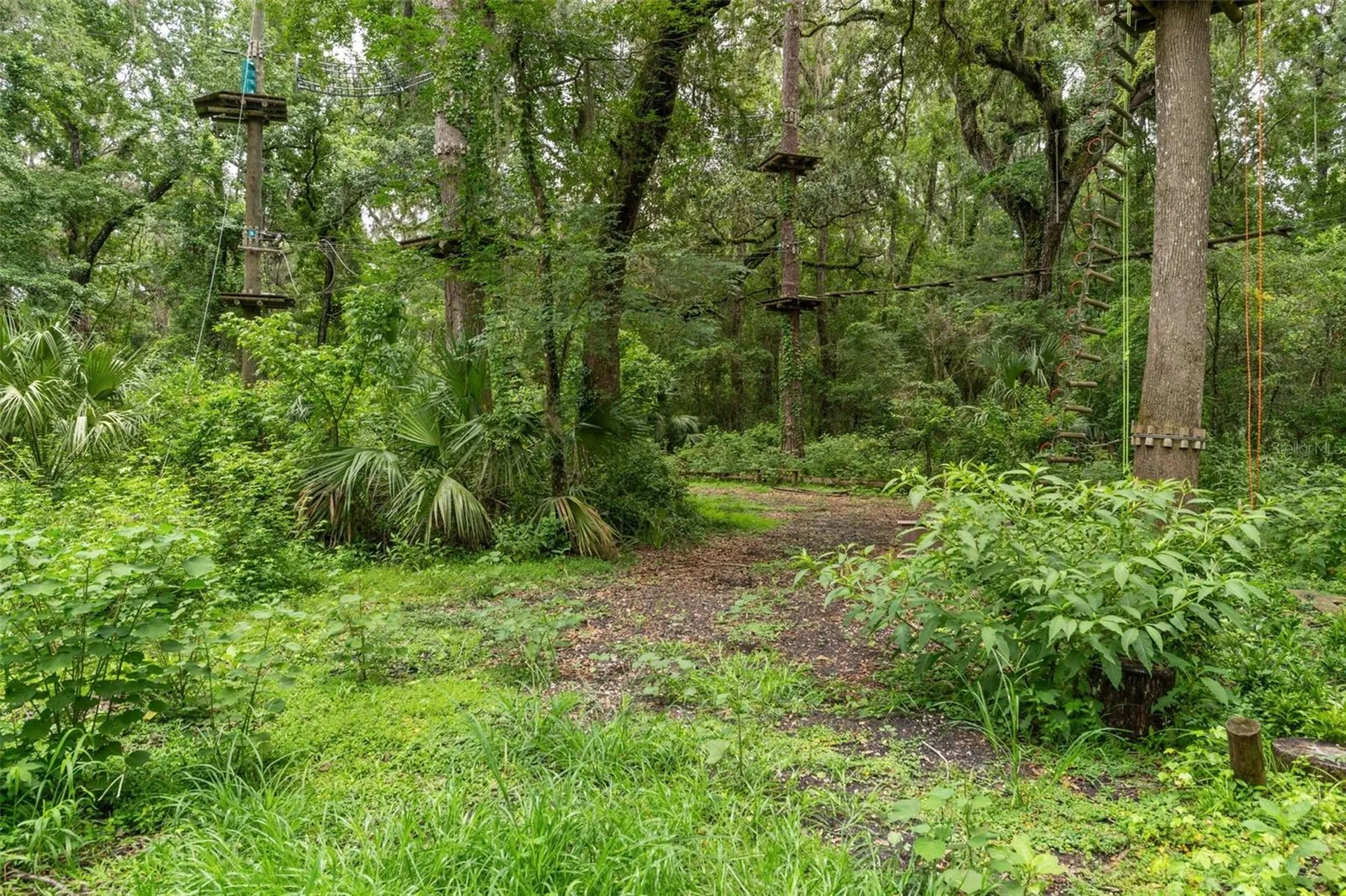 6440 Cedar Lane Brooksville FL 34601