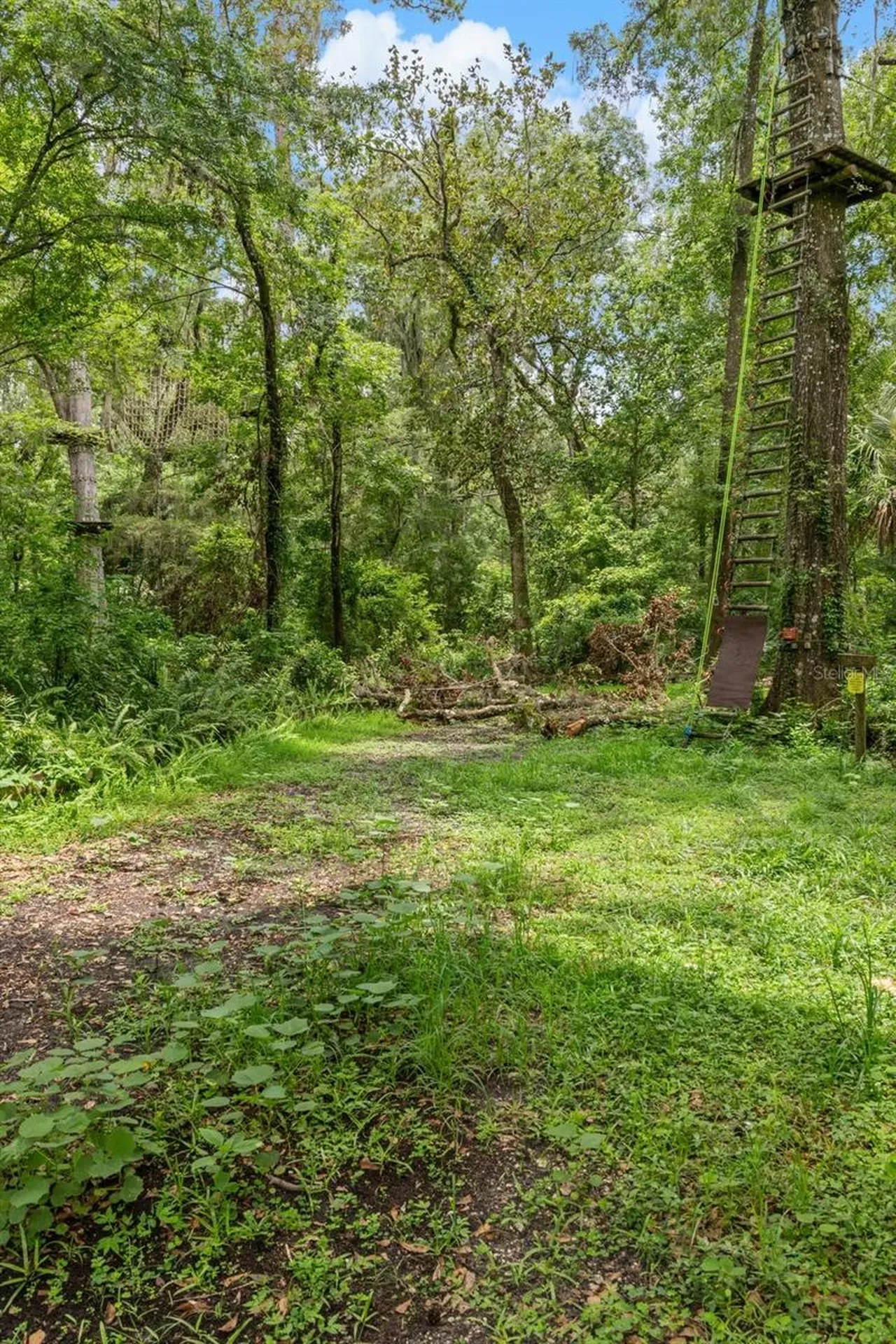 6440 Cedar Lane Brooksville FL 34601