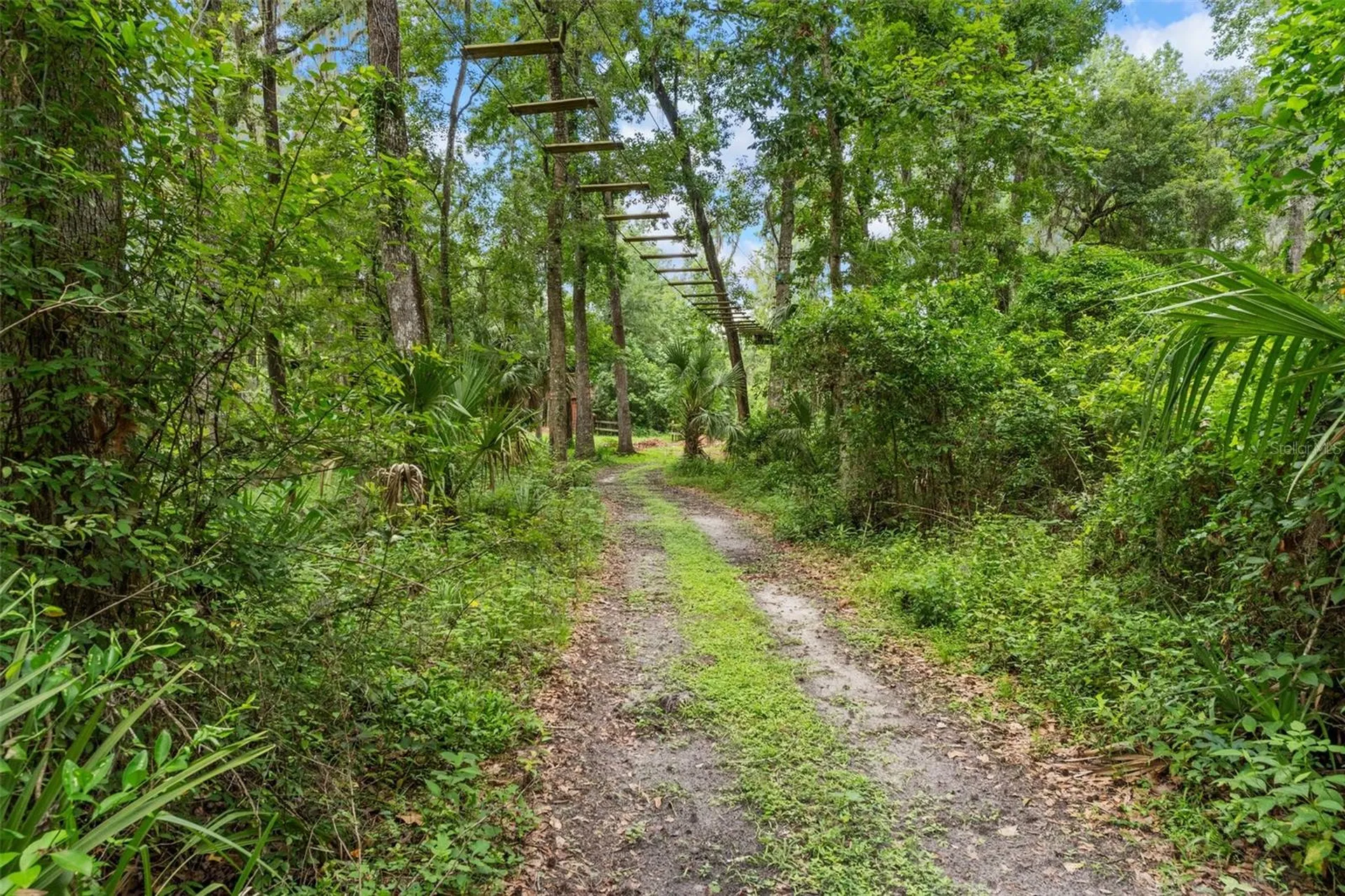 6440 Cedar Lane Brooksville FL 34601