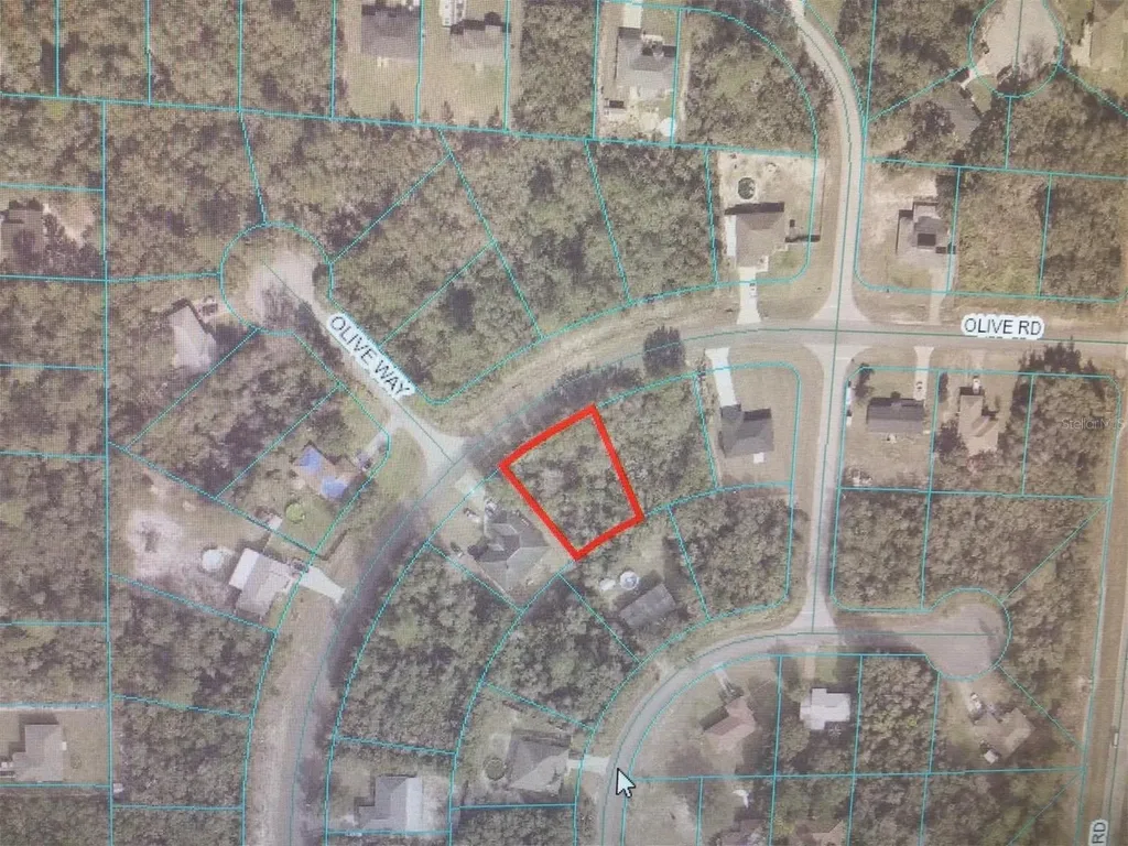 0 Olive Road Ocala FL 34473