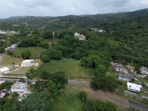 Carr. 159 Bo. Padilla Km 10.5 Corozal PR 00783