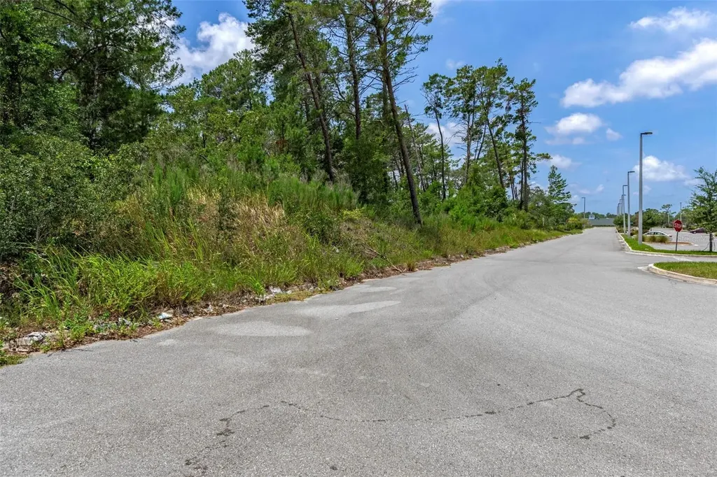 00 Sagheer Street Brooksville FL 34613
