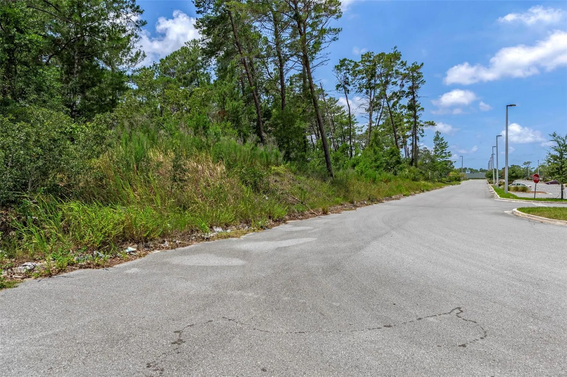 00 Sagheer Street Brooksville FL 34613