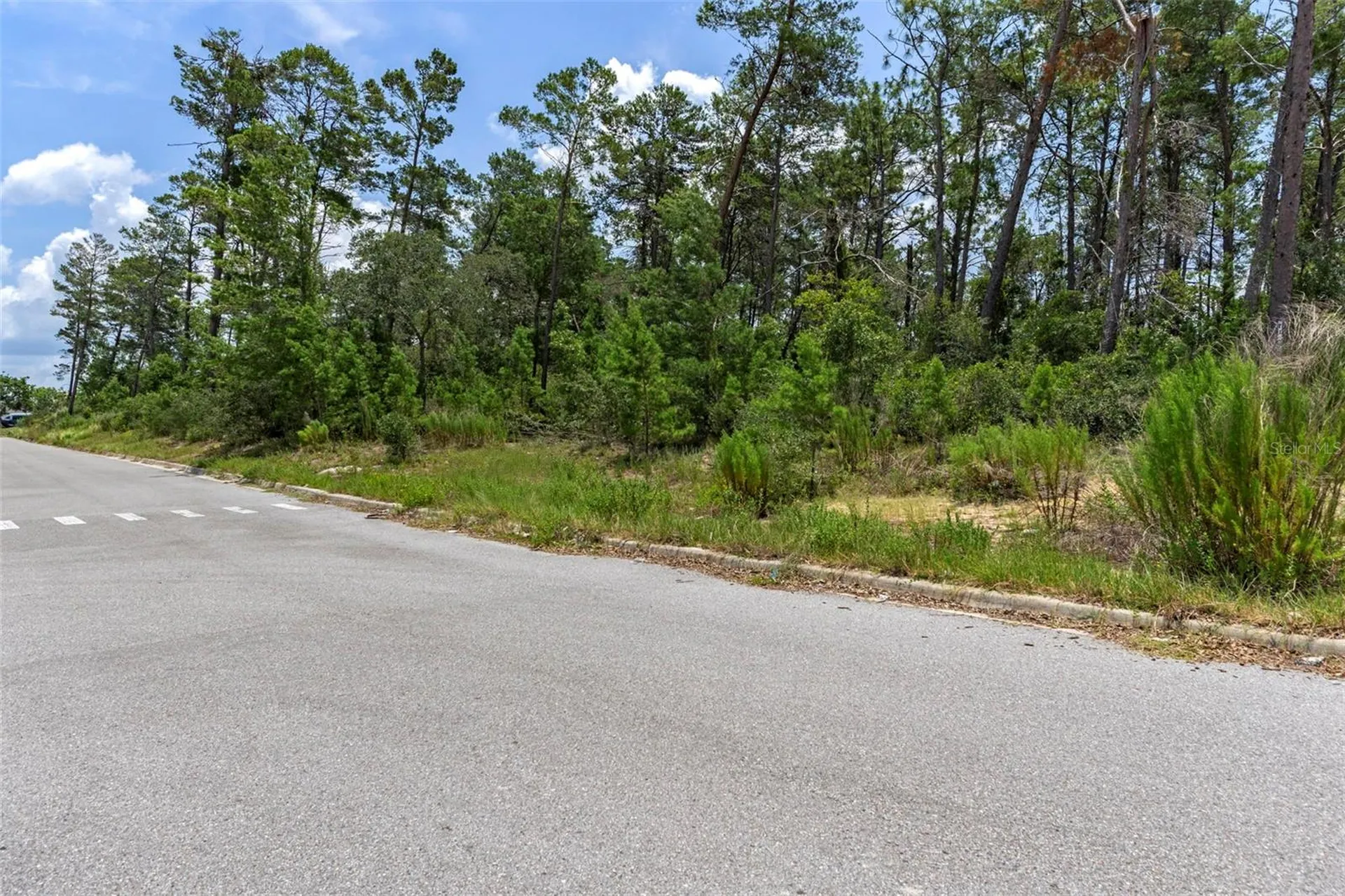 00 Sagheer Street Brooksville FL 34613