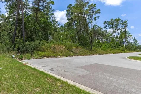 00 Sagheer Street Brooksville FL 34613