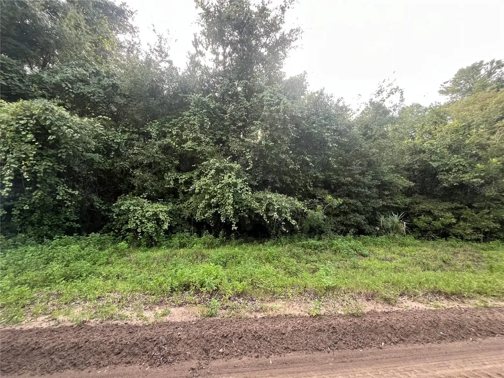 915 Annette Avenue Interlachen FL 32148